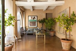 Classic designer items, potted trees and restored wood-beamed ceiling in lounge area
