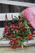 Posy of rose hips under red and white woollen blanket on vintage wooden bench