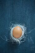 Hen's egg in tiny nest on dark fabric