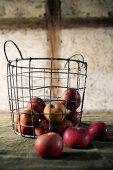 Red heritage apples in wire basket