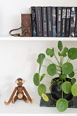 Wooden monkey next to houseplant on bookshelves