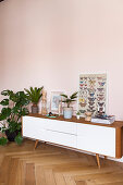 Low sideboard next to houseplants in period apartment
