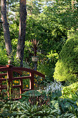 Wooden railing in densely planted garden