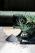 Still life with sculpture, vase and succulent plant in shades of green