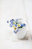 Forget-me-nots and daisies in small ceramic bucket