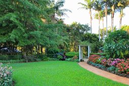 Exotic garden with lawn and tropical plants