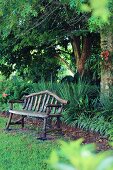 Rustikale Sitzbank im Garten mit exotischen Pflanzen