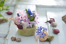 Small arrangement of Hyacinthus in glass with felt panel