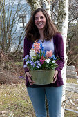 Frau bringt Topf mit Hyacinthus ( Hyazinthen ), Viola cornuta 'Lavender Blush'