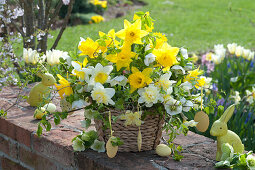 Yellow-white Easter bouquet in the basket, narcissus, helleborus