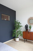 Potted tree against blue-grey accent wall, retro sideboard and sunburst mirror in bedroom