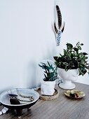 Arrangement with houseplants and ethnic accessories