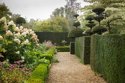 Formschnittgarten nach englischem Stil (Les Jardin de Castillon, Frankreich)
