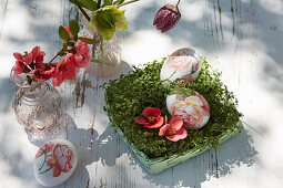 Easter eggs and flower in nest of cress