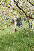 Limonadenflaschen und Menütafel am Apfelbaum hängend
