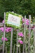 Sign framed in green physalis husks on garden fence