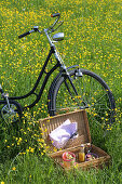 Bicycle and open picnic basket in flowering meadow