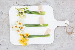 Labelled bunches of different narcissus on chopping board