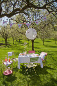 Set table, lantern and table of drinks under flowering cherry tree in garden