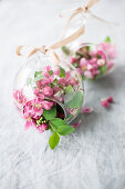 Crab apple blossom in glass baubles to be hung from ribbons