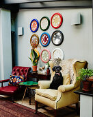 Dog sitting on yellow wing-back chair in front of colourful round picture frames on wall