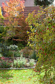 Autumnal garden