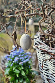 Easter Egg On Corkscrew Hazel