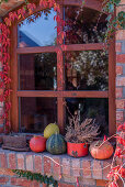 Pumpkins And Pot With Heather In Front Of The Window