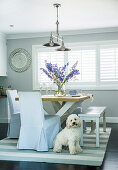 Esstisch mit Holzbank und Hussenstühen vor Fenster, Hund auf Teppich