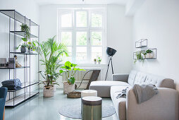 Pale grey sofa set, shelves and houseplant in living room of period apartment