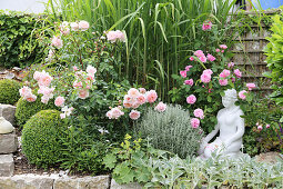 English roses 'Wild Eve' 'Gertrude Jekyll' with book and holy herb in front of Miscanthus