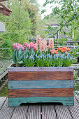 Spring flowers in raised bed made from reclaimed wood