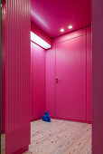 Blue hare on wooden floor in hallway with hot-pink walls and doors