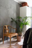 Stuhl mit Lederkissen und Zimmerpflanze im Schlafzimmer mit grauer Wand