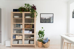 Pale wooden display case and houseplants in dining room