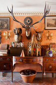 Stuffed hunting trophies on wall above antique wooden sideboard in hallway