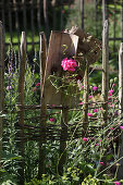 Holzbrett mit Geranienblüte in Glasväschen als sommerliche Gartendekoration