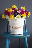 Colourful spring flowers in bucket