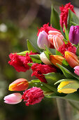 Gefiederte und einfache bunte Tulpen im Strauß
