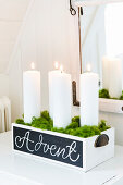 White Advent candles with moss in a wooden box painted white