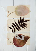 Gift tags with dried and pressed leaves