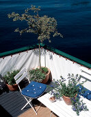 Garden furniture and plants on the terrace of a houseboat