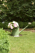 Bouquet of peonies in watering can
