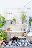 Autumn decorations on shelves on terrace