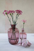 Carnations in dusky-pink glass vases and fresh garlic bulbs