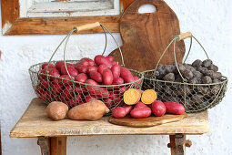 Bunte Kartoffeln in Metallkörben auf einer rustikalen Holzbank