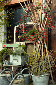 Autumn arrangement with a wreath of rose hips, zinc watering cans, and zinc buckets with branches