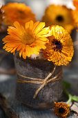 Posy of pot marigolds in beaker wrapped in felt and twine