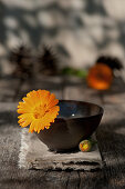 Marigold in brown bowl