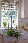 Flowering branches in sink below window and collection of vintage cups